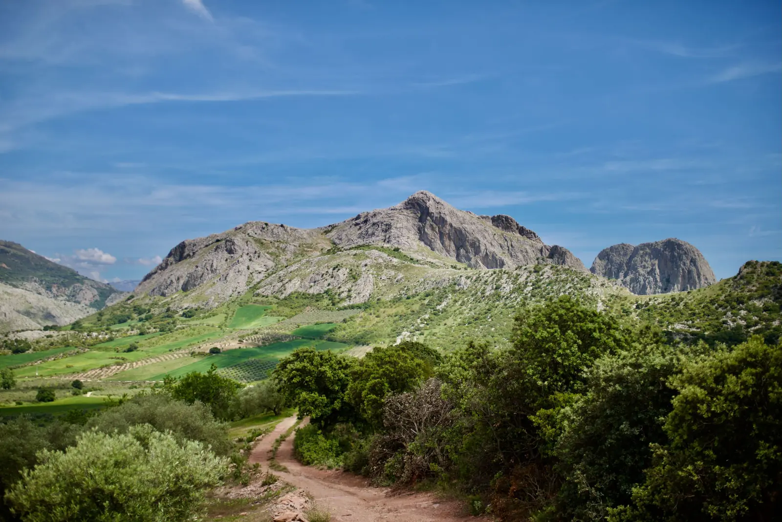 A limestone peak above green valley fields, a dirt track curving away through olive trees